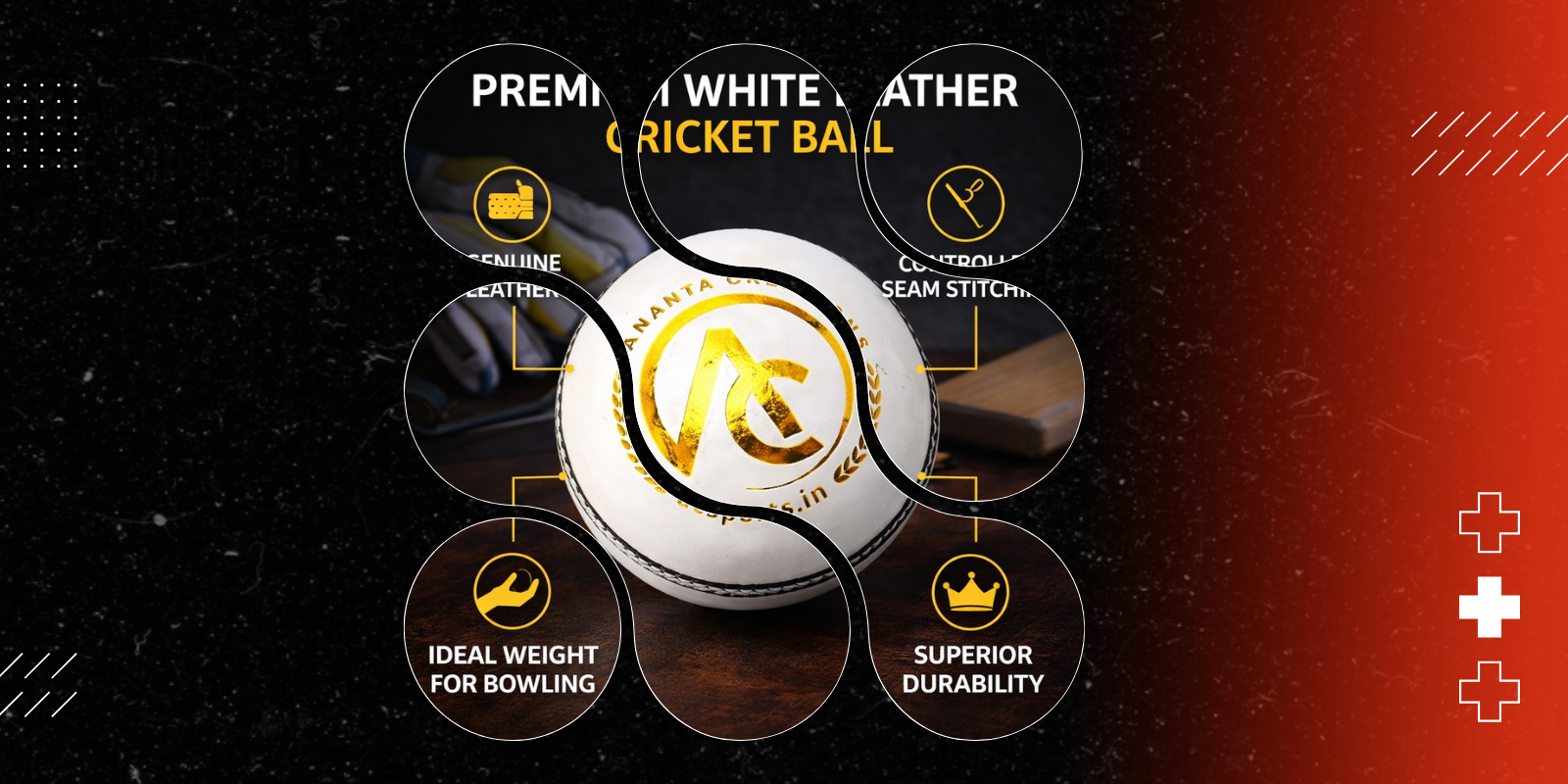 Wildlife Photography Slideshow